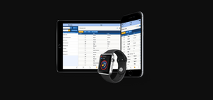 Toodledo Plus Online Task Manager