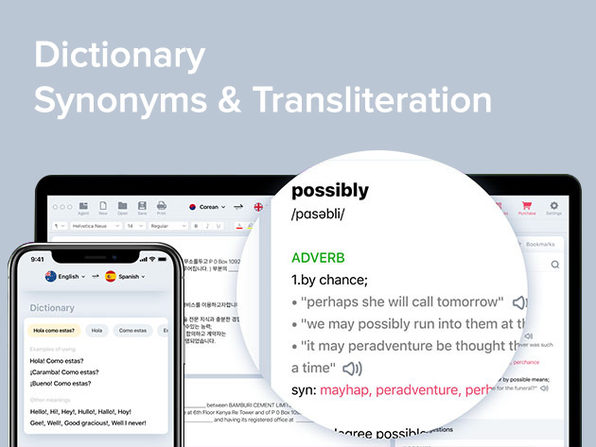 LingvaNex Translator Lifetime Subscription Desktop and Mobile